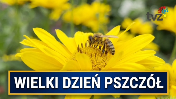 Wielki Dzień Pszczół 2026