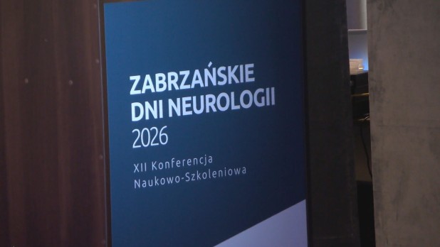 XII Zabrzańskie Dni Neurologii