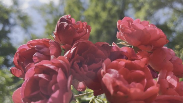 Dzień w kobiecym rytmie