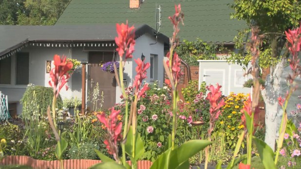 Wsparcie dla rodzinnych ogrodów działkowych