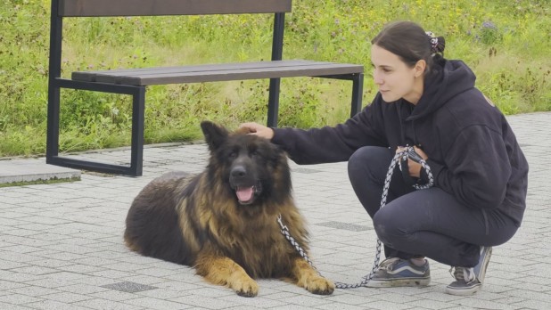 Lato bezpieczne dla zwierząt