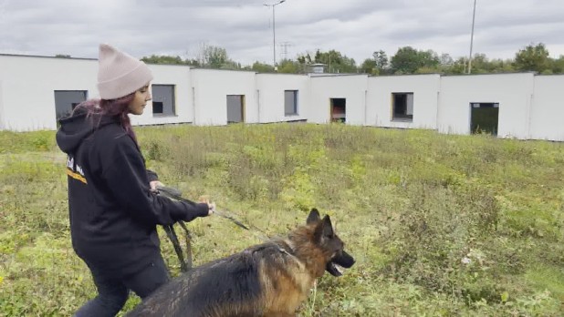 Wspólnie dla wolontariatu