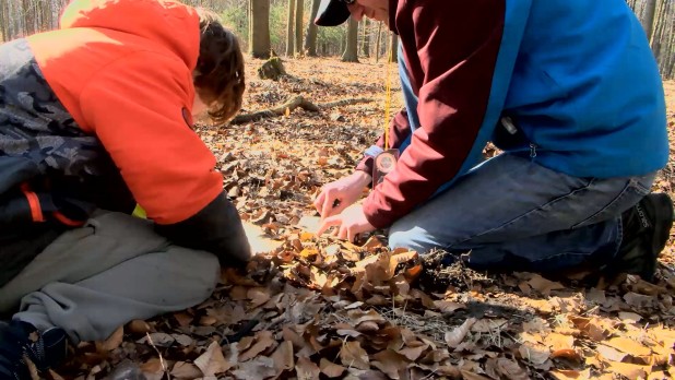 Zabrzański Leśny Survival